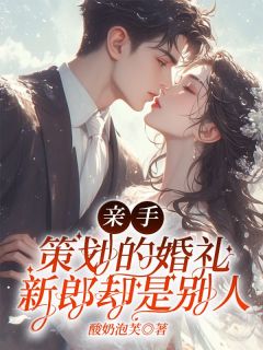 值得熬夜看完的亲手策划的婚礼，新郎却是别人小说阅读-暗夜阅读网