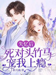 主角是苏锦意易修澄的失忆后，死对头竹马宠我上瘾抖音热门小说-暗夜阅读网