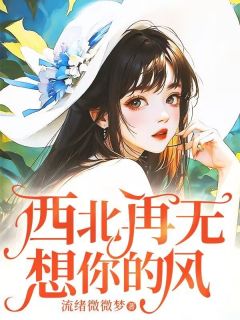 小说西北再无想你的风主角为顾佳怡黎淮山免费阅读-暗夜阅读网