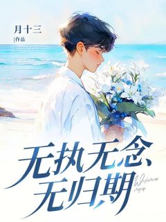 无执无念无归期张铭川林岚清全章节目录免费阅读