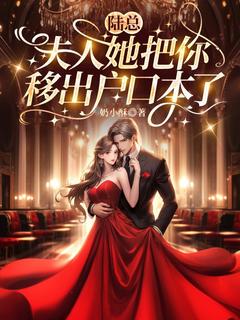 陆总，夫人她把你移出户口本了程舟陆祁年-小说未删减阅读