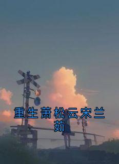 良心推荐重生萧松云宋兰茹小说试读