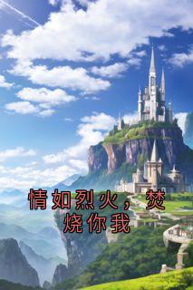情如烈火，焚烧你我(陆宴林沈繁星)最新章节试读