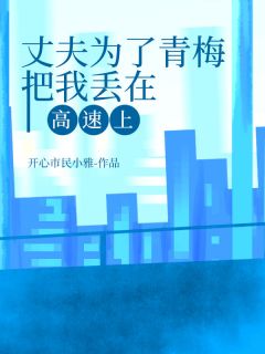 丈夫为了青梅把我丢在高速上免费小说作者开心市民小雅全文阅读