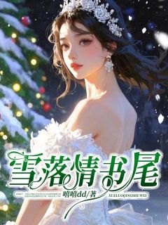 优质新书雪落情书尾最新章节小说全文阅读