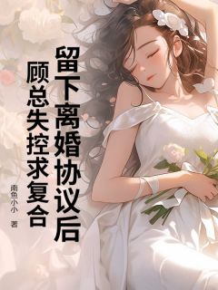 优质新书留下离婚协议后，顾总失控求复合最新章节小说全文阅读-暗夜阅读网