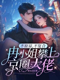 (抖音小说)冉岁岁傅云庭小说全文阅读免费