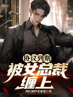 协议到期，被女总裁缠上叶枫林雨晴全章节在线阅读-暗夜阅读网