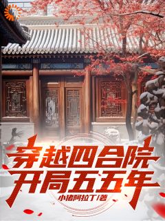 穿越四合院，开局五五年(小猪阿拉丁)最佳创作小说全文在线阅读