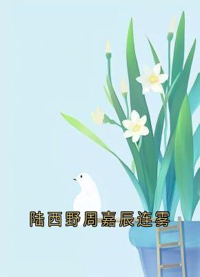 完整版陆西野周嘉辰连雾连雾陆西野小说免费在线阅读