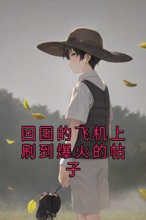 【热文】回国的飞机上刷到爆火的帖子主角陆嘉一周淮许沈璐小说全集免费阅读-暗夜阅读网