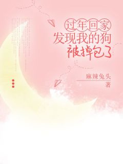抖音爆款过年回家，发现我的狗被掉包了完整小说（全文阅读）-暗夜阅读网