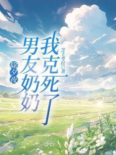 除夕夜，我克死了男友奶奶主角是苏雅林栋小说百度云全文完整版阅读