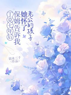 丁克七年后，保姆告诉我她怀了老公的孩子小说(完本)-苏沫林北笙无错版阅读