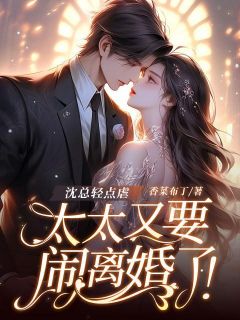 夏瑾染沈泊越小说抖音热文沈总轻点虐，太太又要闹离婚了！完结版