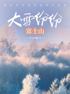 大雪纷纷富士山免费阅读全文，主角时媛沈世州小说完整版最新章节