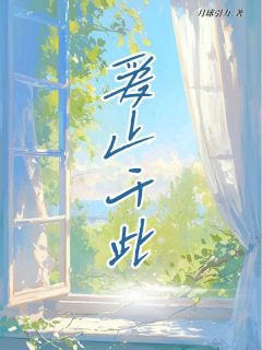 无弹窗小说爱止于此 作者月球引力