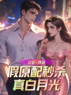 快手热推假原配秒杀真白月光小说主角司华年裴轻舟在线阅读