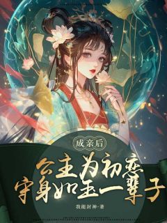 成亲后，公主为初恋守身如玉一辈子最新章节免费阅读by一个大榴莲无广告小说-暗夜阅读网
