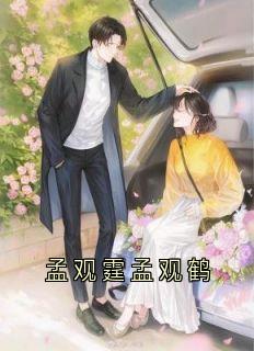 (抖音小说)孟观鹤唐安意小说全文阅读免费