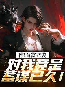 惊!首富老婆对我竟是蓄谋已久!(叶安丁心慧)小说全章节目录阅读-暗夜阅读网