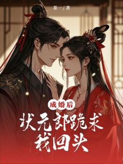 精选好书成婚后,状元郎跪求我回头无删减版全文在线