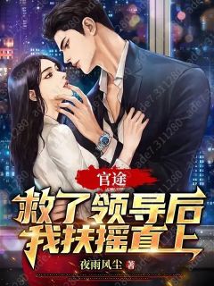老书虫书荒推荐官途：救了领导后我扶摇直上txt小说阅读
