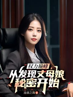 主角是高远杨岚的小说权力巅峰，从发现丈母娘秘密开始最完整版热门连载-暗夜阅读网