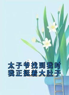 太子爷找到我时我正挺着大肚子顾岁岁席宴全章节在线阅读-暗夜阅读网