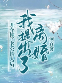 开车撞了老公情人后，我提出了离婚在哪免费看，沈清晏沅沅小说章节目录阅读