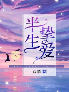 夏晚晚沈崇岸小说大结局在哪看-半生挚爱完整版免费阅读