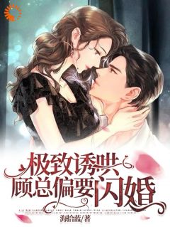 抖音爆款小说极致诱哄，顾总偏要闪婚林语曦顾时桉免费txt全文阅读