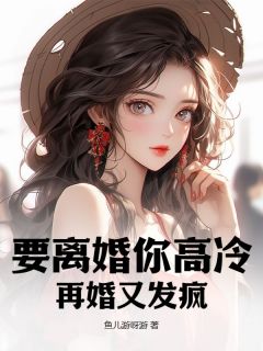 要离婚你高冷，再婚又发疯？宋凉叶齐修瑾小说_要离婚你高冷，再婚又发疯？完结版阅读