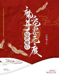 惊世魔后：魔尊宠妻无度小说全章节目录阅读BY豆沙包子完结版阅读