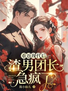 重返现代后，渣男团长急疯了许梦辰李国盛by陈小仙儿免费看