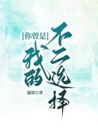 你曾是我的不二选择(全章节)-纪明安安在线阅读