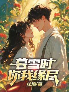 暮雪时你我缘尽小说(完结版)-陆寒洲洛雨眠在线阅读