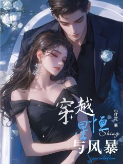 穿越恒星与风暴宋昭昭沈聿风免费全章节目录阅读