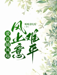 好看的爱意随风起，风止意难平小说，主角宁安浔文青最新章节阅读