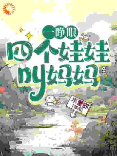 好书推荐一睁眼，四个娃娃叫妈妈江竹芽白天佑全文在线阅读
