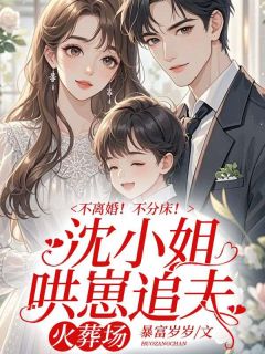 沈念安霍瑾川(原文完整)不离婚！不分床！沈小姐哄崽追夫火葬场无弹窗免费阅读
