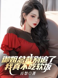 御姐总裁别追了,我真不吃软饭陈宁沈慕青全章节目录免费阅读-暗夜阅读网