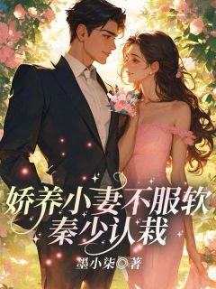 盛宁秦湛小说娇养小妻不服软,秦少认栽免费阅读-暗夜阅读网