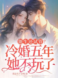 能生还试管？冷婚五年她不玩了苏凛沈棘年-小说txt全文阅读-暗夜阅读网