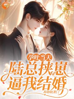 孕吐当天，陆总挟崽逼我结婚(新书)小说_棠微祁宴之阅读-暗夜阅读网