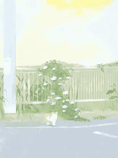 我脱离世界后，总裁疯了精彩章节-我脱离世界后，总裁疯了免费阅读全文