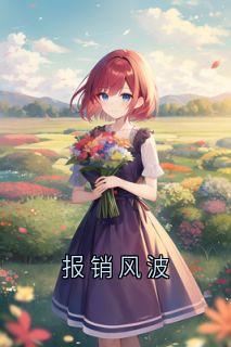 (抖音)报销风波小白李梅小说免费全文阅读
