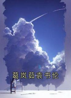 抖音小说葛岚茹袁书伦主角葛岚茹袁书伦全文小说免费阅读-暗夜阅读网