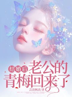 结婚后，老公的青梅回来了知乎小说最新章节阅读-暗夜阅读网