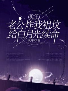 苏雪岚陆绍辉林婉柔小说结局